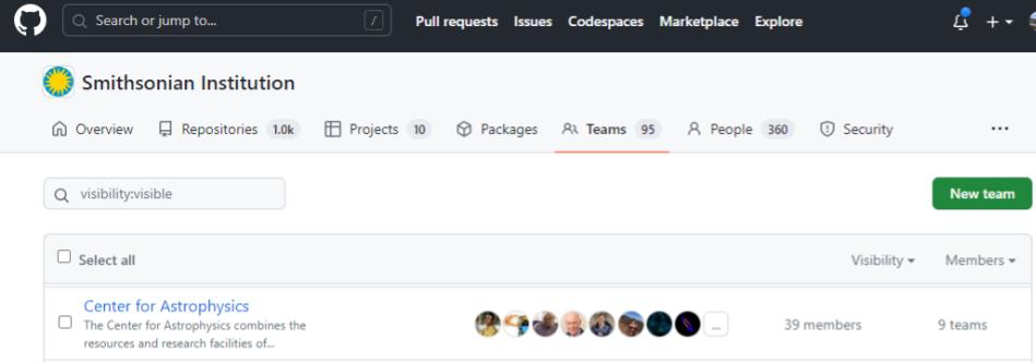 A screenshot of a the GitHub organization showing a single Team